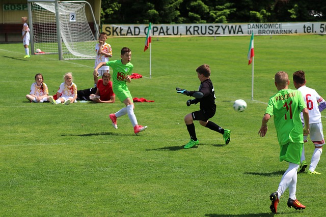 他的传球视 他的传球视