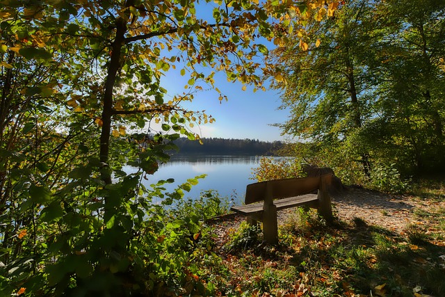 队带来积极 队带来积极