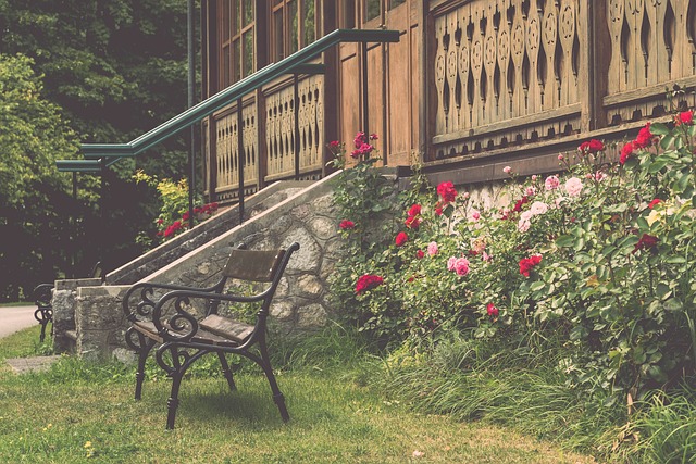 裁判的判罚 裁判的判罚