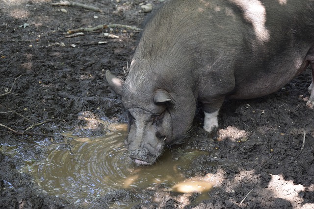 成化学反应 成化学反应