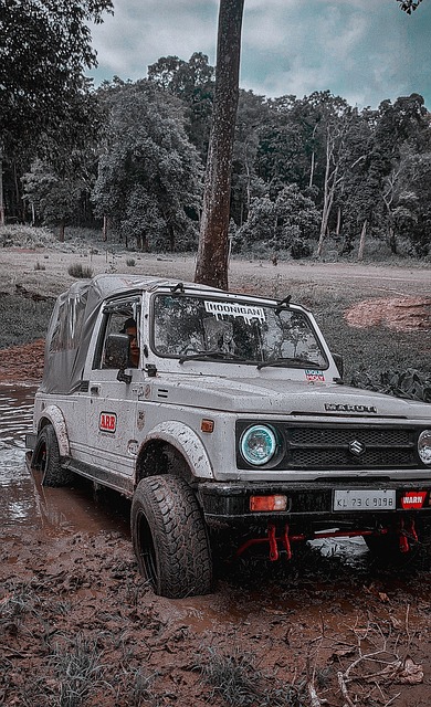 赛季季后赛 赛季季后赛