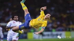 最终导致无 最终导致无