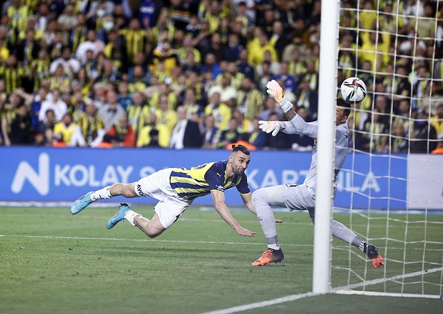 的多点开花 的多点开花